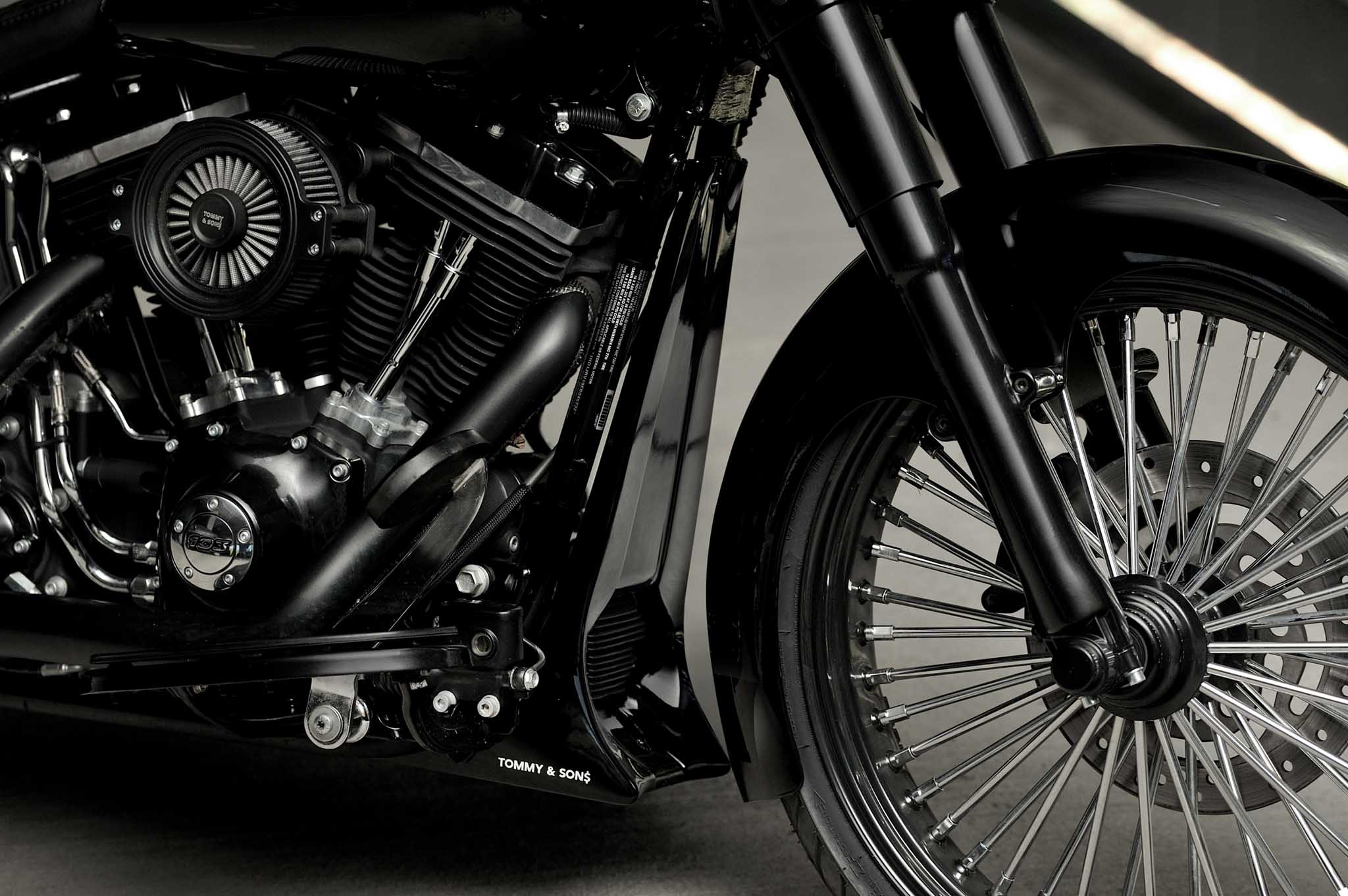 Outlaw Series Radiator Cover for Harley Davidson Softail 2007-2017 models