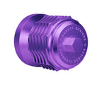 https://cdn.shopify.com/s/files/1/0667/5700/1445/files/PerformanceMagneticOilFilterforHarley-Davidson-Purple-SideTop_Purple.jpg?v=1765517123
