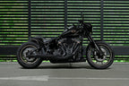 Crook Series Short Rear Fender for Harley Davidson Low Rider, Heritge, Fat Bob 180-200 tire