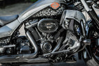 "Black Series" Air Filter for Harley Davidson Twin Cam Transparent