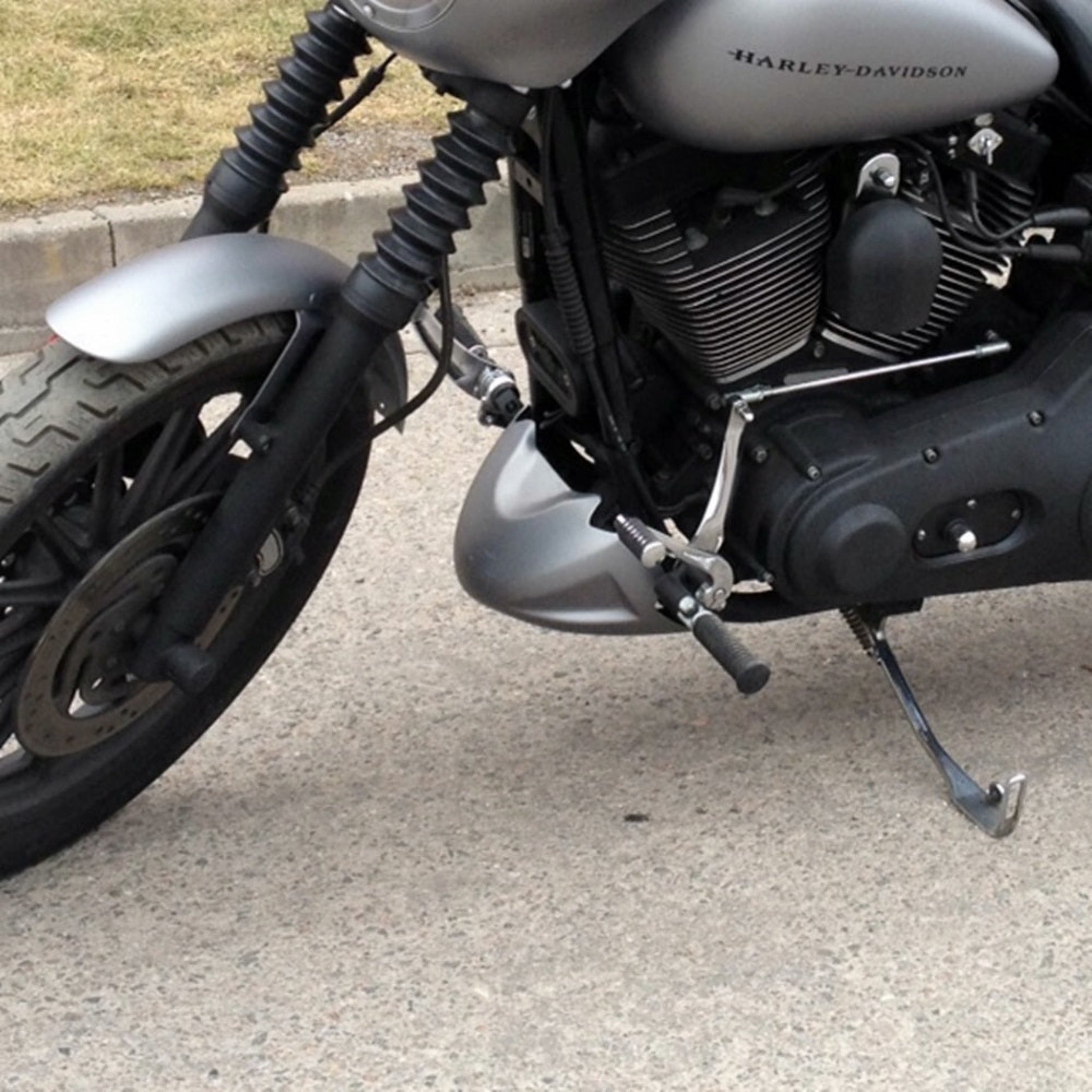 Dyna Chin Spoiler