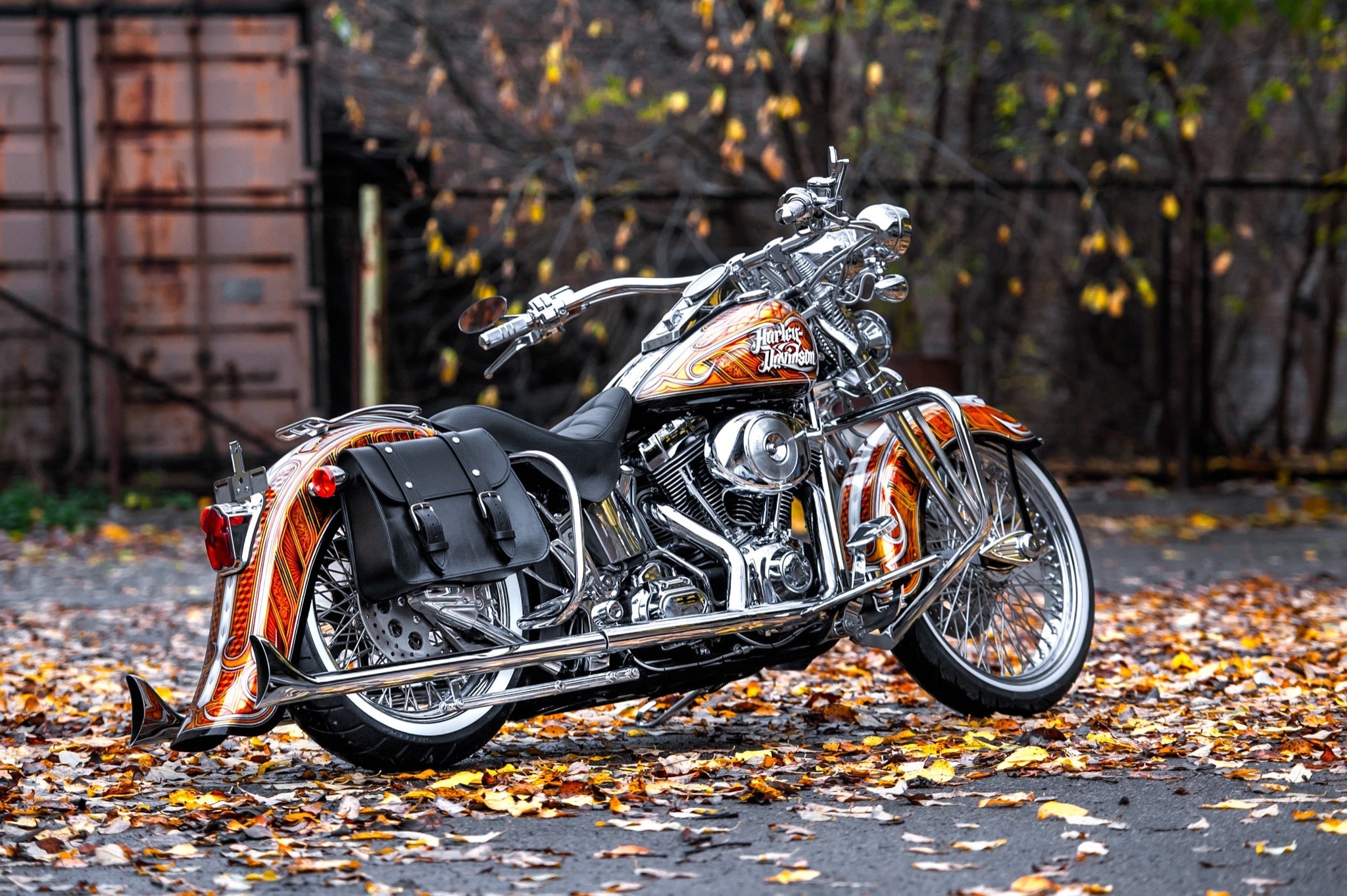 Chicano style Stretched Rear Fender for  Harley Davidson Softail from 2000 to 2017
