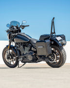 15L - Outlaw Quick Mount Medium Harley Softail Low Rider S FXLRS Painted Hard Solo Saddlebag (Left Only)